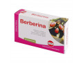 Berberina da berberis vulgaris estratto secco 60 compresse