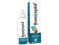 Banzapid spray prevenzione 100 ml