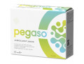 Pegaso axiboulardi junior 14 bustine