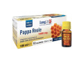 Longlife pappa reale + vitamina b 10 flaconcini 10 ml