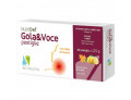 Nutridef gola & voce miele e limone 20 pastiglie