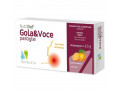 Nutridef gola & voce arancia 20 pastiglie