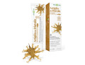 Biosline artiglio del diavolo pomata eudermica bio cert ecocert 50 ml