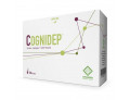 Cognidep 14 bustine