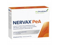 Nervax pea 20 bustine