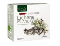 Ligne de plantes lichene islandico 15 ampolle x 15 ml