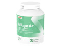 Aximagnesio polvere 252 g