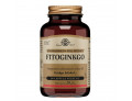 Fitoginkgo 60 capsule vegetali