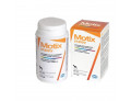 MOTIX PUPPY 1000MG 100CPR