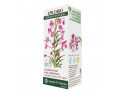 Epilobio estratto integrale 200 ml