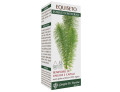 Equiseto estratto integrale 200 ml