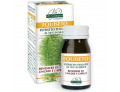 Equiseto estratto titolato 60 pastiglie
