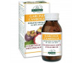 Garcinia cambogia estratto titolato 60% hca 180 pastiglie