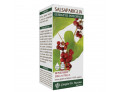 Salsapariglia estratto integrale 200 ml