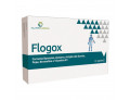 Flogox funzionalità articolare (30 capsule)