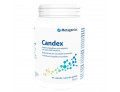 Candex 45 capsule