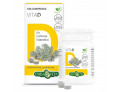 Vita d 100 compresse orosolubili 20 g