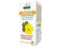 Tribulus estratto titolato 80 pastiglie