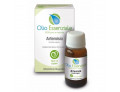 Artemisia olio essenziale 10 ml