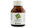 Boswellia 60 capsule