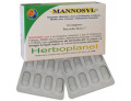 Mannosyl new 24 compresse