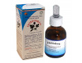 Disbiodren gocce 50 ml