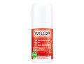24h deo roll-on melograno 50 ml