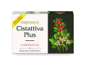 Cistattiva plus 24 compresse
