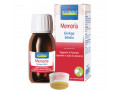 Ginkgo biloba estratto idroalcolico 60 ml