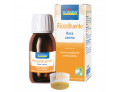 Rosa canina estratto idroalcolico 60 ml
