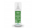 Ledum the wall lozione protettiva forte 100 ml