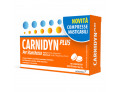 Carnidyn Plus (18 compresse masticabili)
