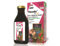 Floradix kids 250 ml