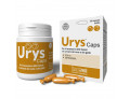 Urys caps 30 capsule