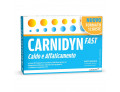 Carnidyn fast (12 bustine)
