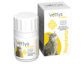 Vettys integra regolarita' gatto 30 compresse masticabili