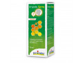 Propolis spray adulto 15 ml