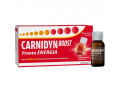 Carnidyn boost 10 flaconcini