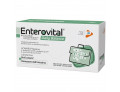 Enterovital daily balance 10 flaconcini