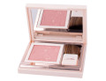 Defence color pretty touch fard compatto 309 marbre rose