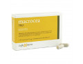 Macrocea pro 20 capsule