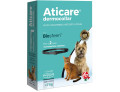 Aticare dermocollar cani piccoli e gatti con peso inferiore a 7 kg