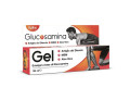 Glucosamina gel 125 ml