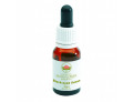 Australian Bush Flower Essence black eyed susan gocce (15 ml)