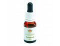 Australian Bush Flower Essence bottlebrush gocce (15 ml)