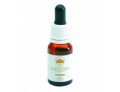 Australian Bush Flower Essence Lichen gocce (15 ml)