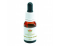 Australian Bush Flower Essence yellow cowslip orchid gocce (15 ml)