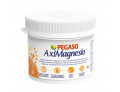 AxiMagnesio magnesio polvere (280 g)