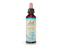 Fiori di Bach originali Beech gocce orali omeopatiche (20 ml)
