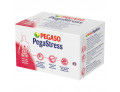 PegaStress integratore per la stanchezza psico fisica e l'equilibrio della flora batterica (28 stick pack)